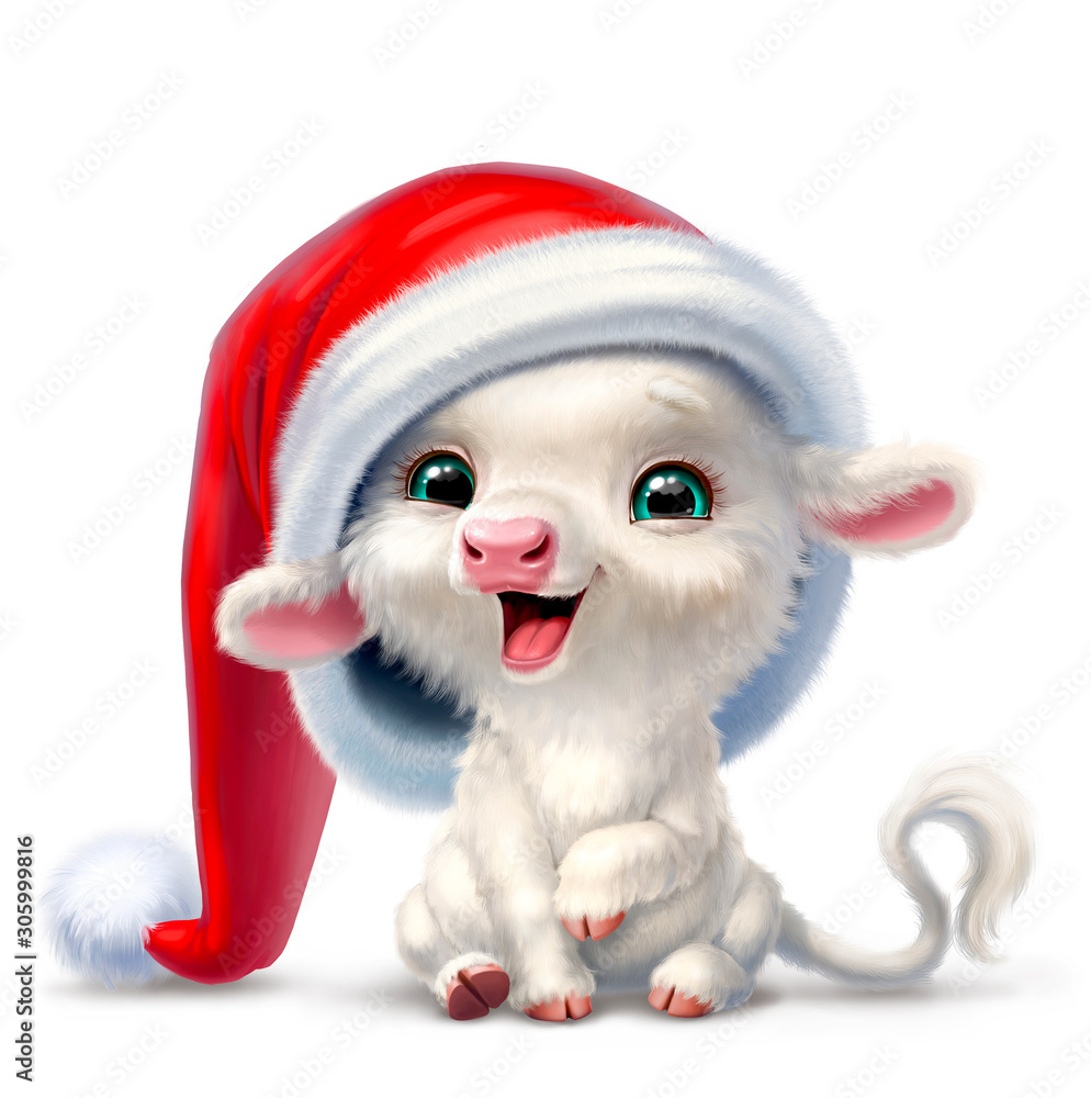 calf in a hat of Santa Claus, isolated on a white background calf in a hat of Santa Claus, isolated on a white background