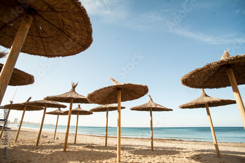 Fototapeta Naklejka Na Ścianę i Meble -  empty coconut fiber umbrellas on the beach