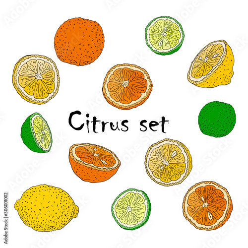 Set of hand drawn Doodle style elements. Vector color illustration with lemons, oranges and limes. Slices, halves and whole citrus. Isolated on white background.