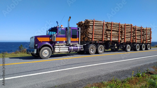 Timber truck transporting wooden logs on the Gaspesie road. Quebec Canada