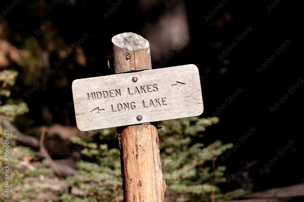 Hidden Lakes / Long Lake Sign in Wilderness Wood