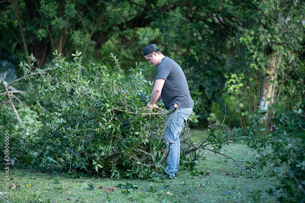 man clears fallen tree limbs from hurricane damage man clears fallen tree limbs from hurricane damage