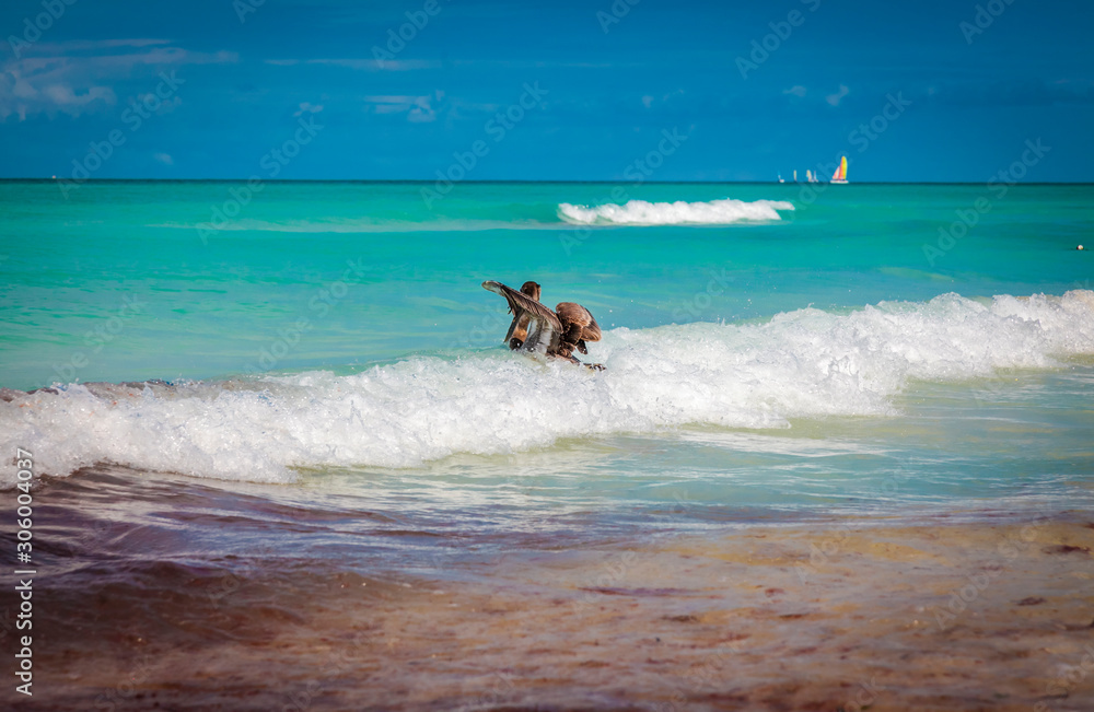 Gorgeous view of the seascape at Varadero beach, Cuba Gorgeous view of the seascape at Varadero beach, Cuba