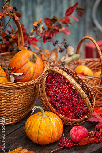  wicker baskets with red berries viburnum and pumpkins in baskets