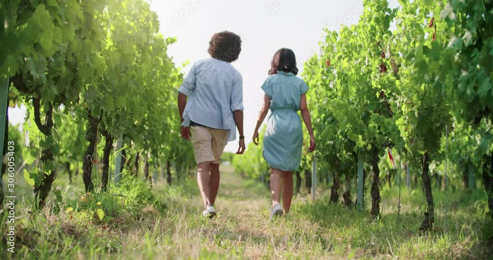 Romantic love couple, man and woman smiling and walking near vineyard at sunset or sunrise.Warm sun back light.Friends italian trip in Umbria.4k slow motion Romantic love couple, man and woman smiling and walking near vineyard at sunset or sunrise.Warm sun back light.Friends italian trip in Umbria.4k slow motion