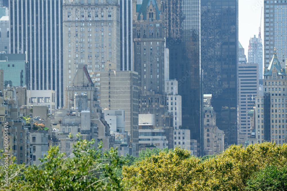 Fototapeta premium New York skyscrapers over Central Park trees