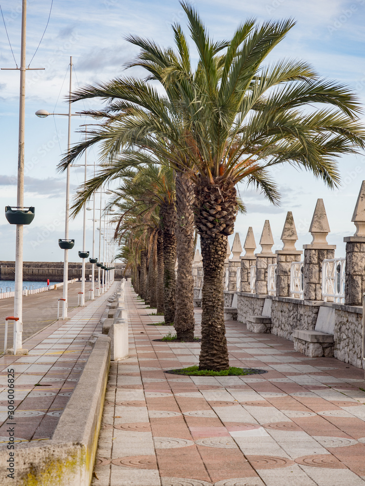 Row of palm trees and street lamps on the coastal breakwater of Castro Urdiales, Spain