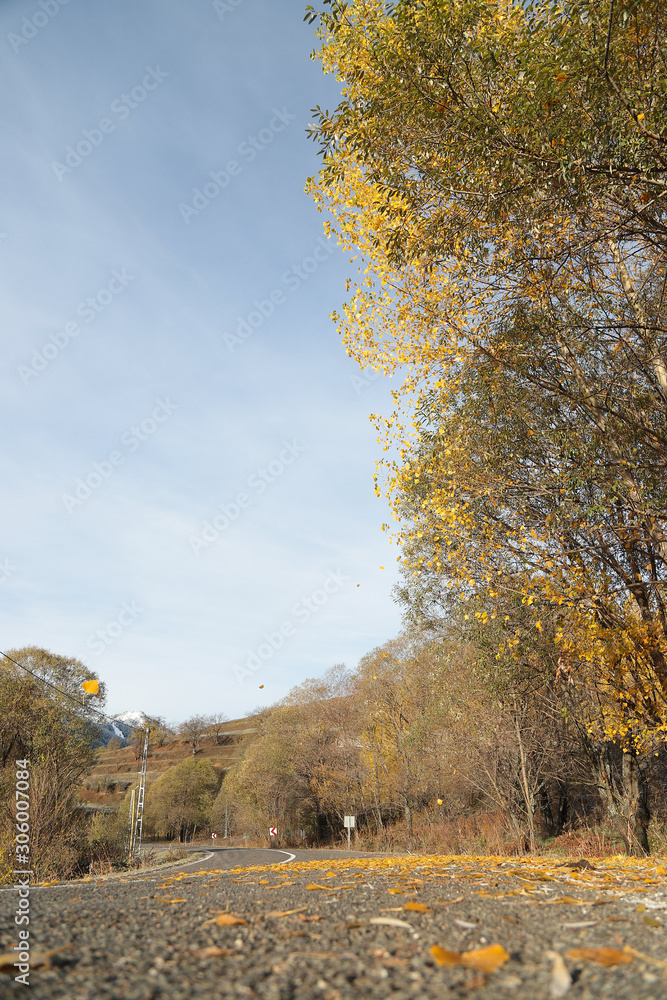 Fototapeta premium First snow in the forest in the mountains