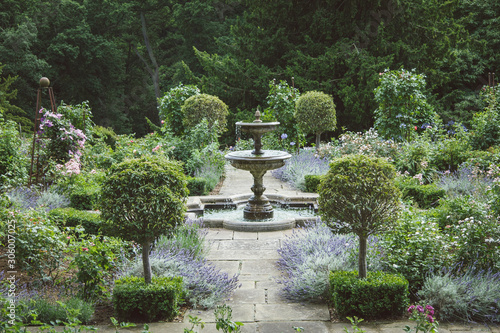 Classic Lavender Royal Garden with Fountain, lavender flowerbeds and greenery on the background.