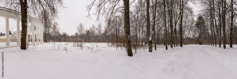 Fototapeta premium Panorama Parku ze śnieżnymi przełęczami na skraju lasu. Raek Village, Obwód Twerski, Rosja.