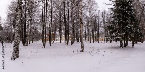 Panorama meadows with snow passes on the edge of the forest. Raek Village, Tver Oblast, Russia. photo