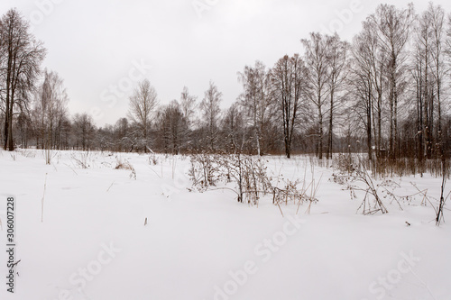 Panorama meadows with snow passes on the edge of the forest. Raek Village, Tver Oblast, Russia.