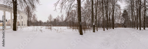 Panorama of the Park with snow passes on the edge of the forest. Raek Village, Tver Oblast, Russia. © 1802185