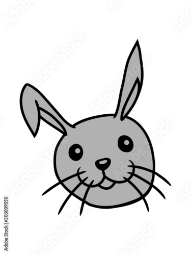 hasen gesicht kopf 