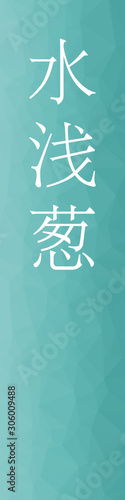 Mizuasagi - colorname in the japanese Nippon Traditional Colors of Japan Illustration
