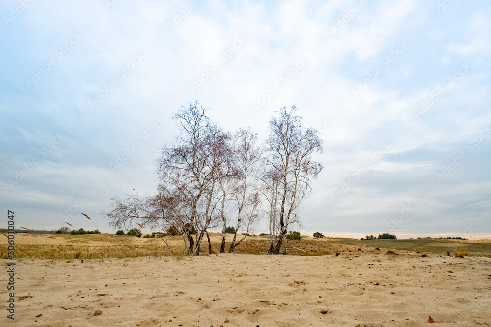 Landscape with desert in ukraine Landscape with desert in ukraine