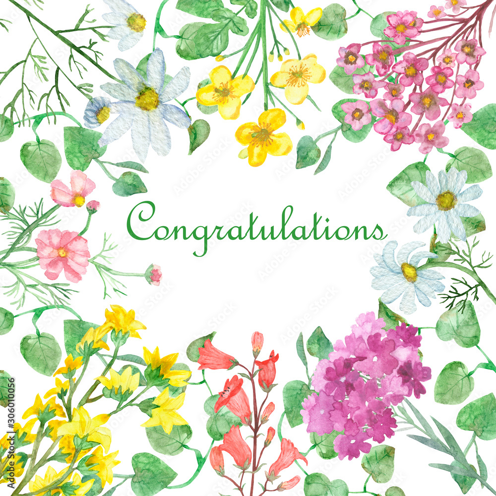 Watercolor hand painted nature floral set border frame with white chamomile, green branches, pink flower, yellow and red on the white background for congratulate card with the space for text