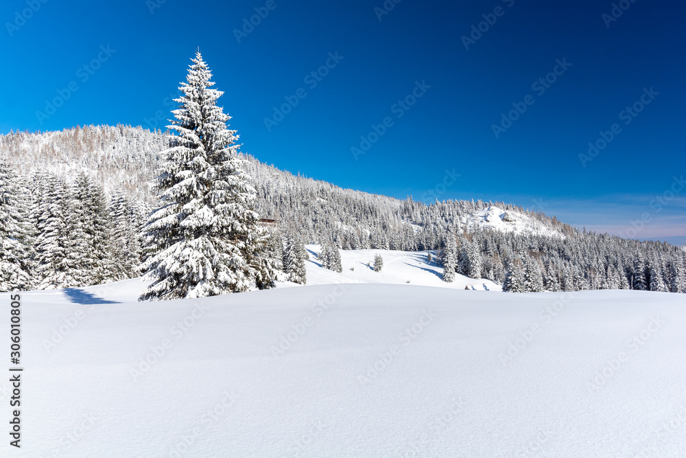 beautiful snowy landscape during winter with blue sky