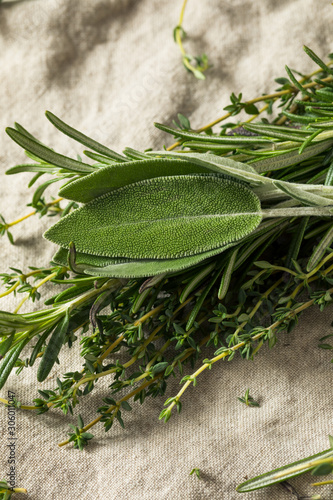 Vászonkép Raw Green Poultry Herbs with Rosemary