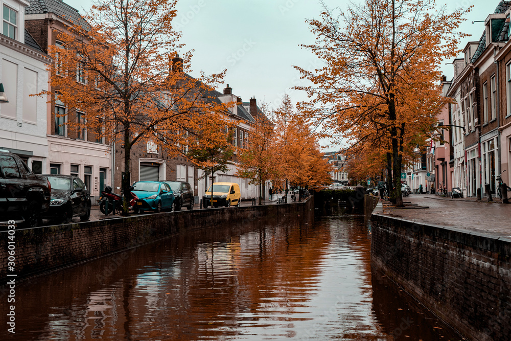 beautiful orange-yellow autumn in a city in the Netherlands, reflection of trees in a canal, cars are parked on the sides and are standing at home