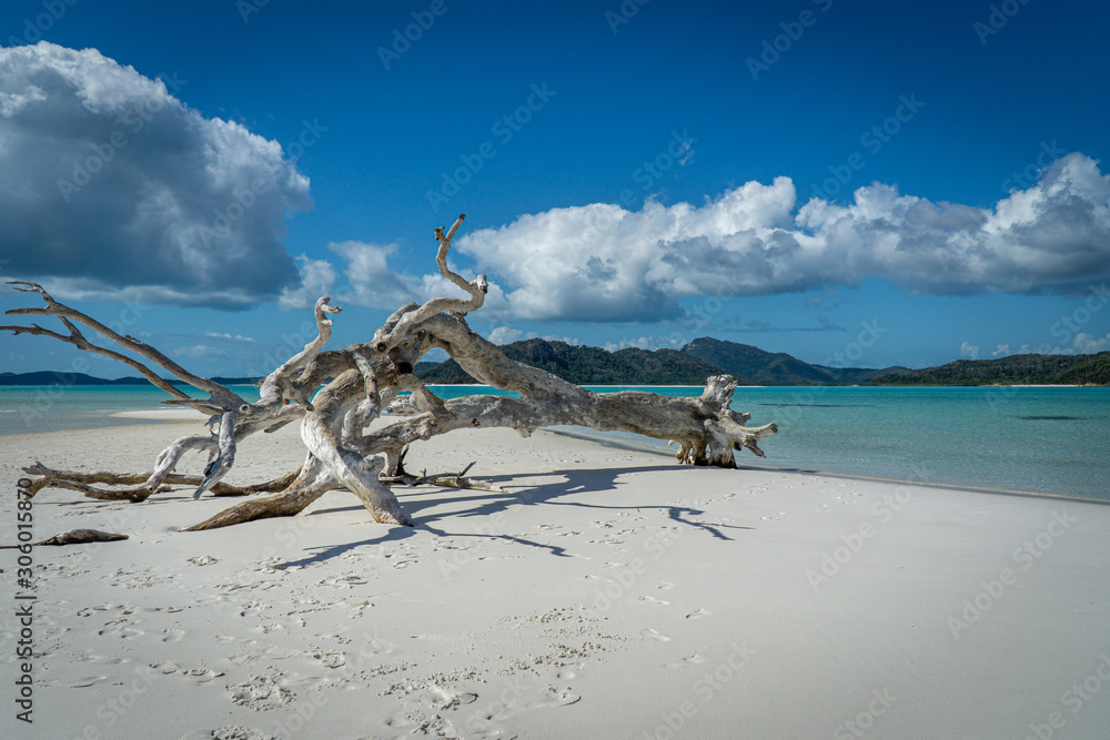 Obraz premium the white beach of the Whitsunday Islands in Australia, which consists of 99 percent quartz sand, and the azure blue sea