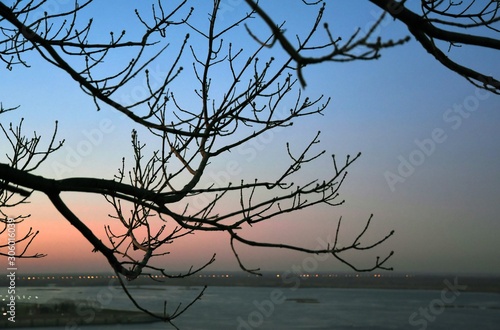 Purple sky at sunset. Silhouette of a tree. Russian landscape.