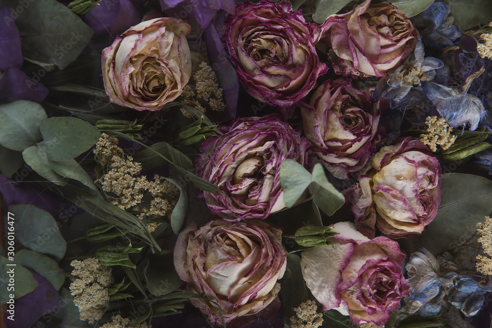 Obraz premium planar composition of dried roses white and pink