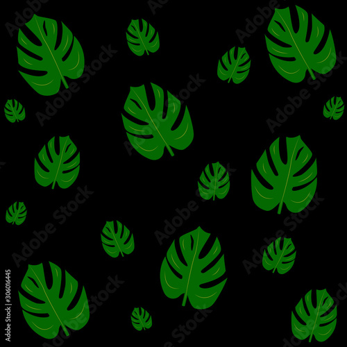 set of green leaves of monstera on black background