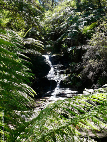 A section of the Leura Cascades in the Blue Mountains west of Sydney.