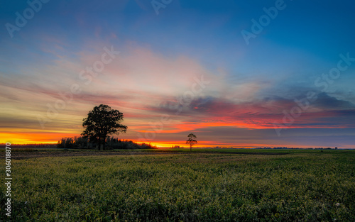 sunset over wheat field © Valdemaras Mockus