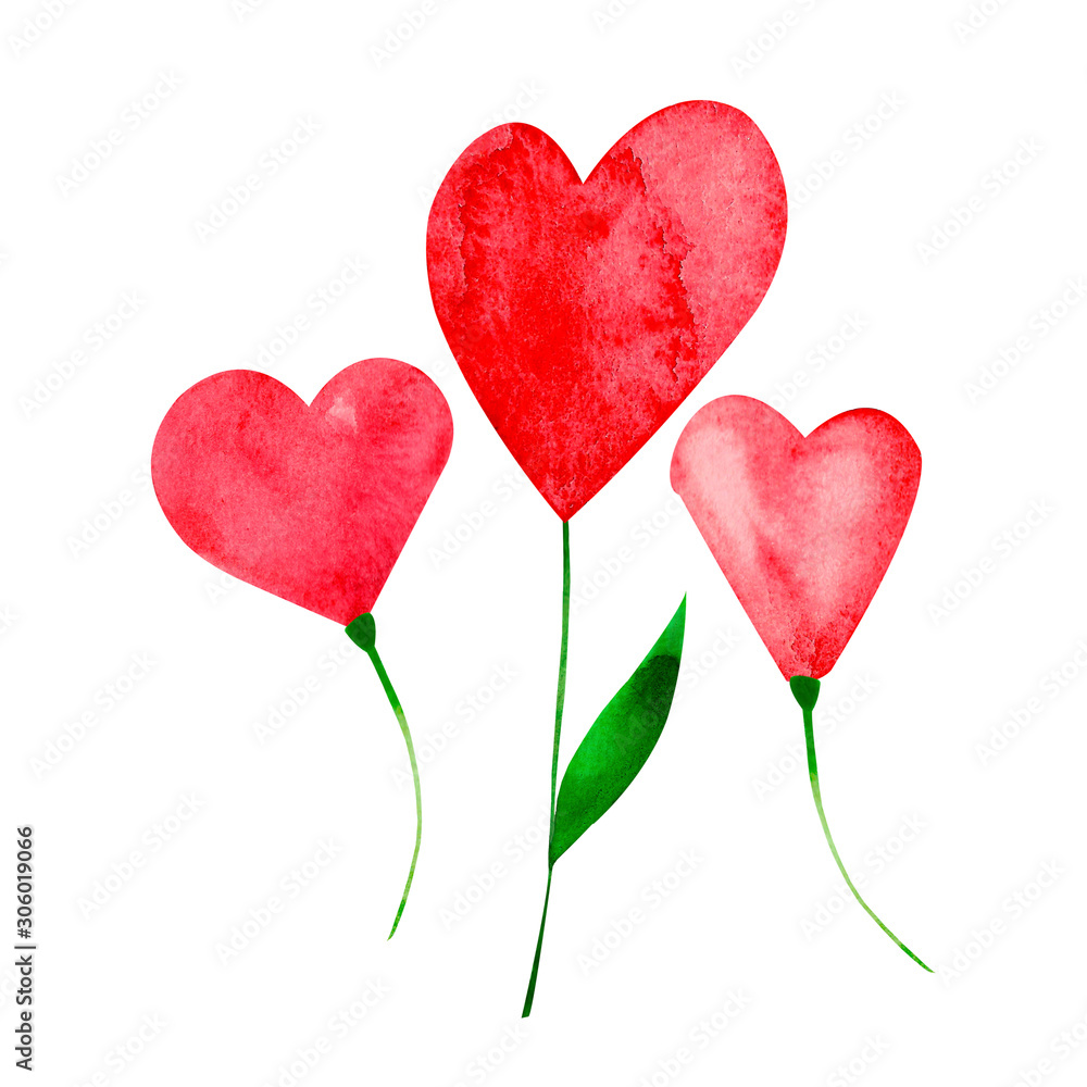 Love flowers heart painted watercolor red isolated on white