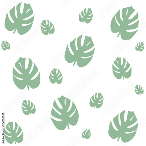 set of green leaves of monstera