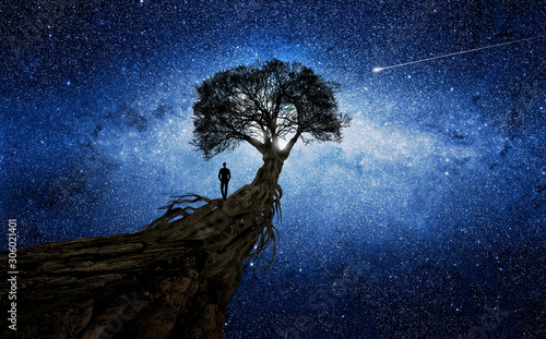Fototapeta Naklejka Na Ścianę i Meble -  Man under a tree in front of the universe