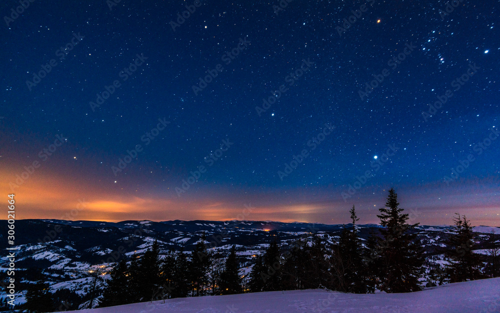 The magical landscape of coniferous forest The magical landscape of coniferous forest