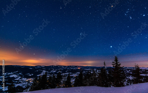 The magical landscape of coniferous forest © YouraPechkin