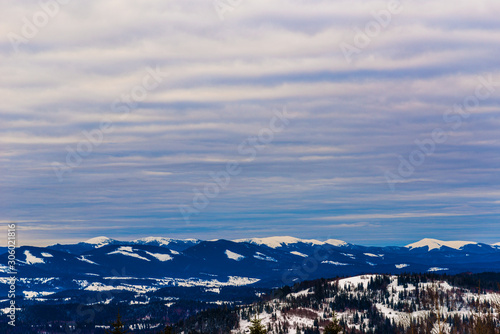 Beautiful mystical landscape of coniferous trees