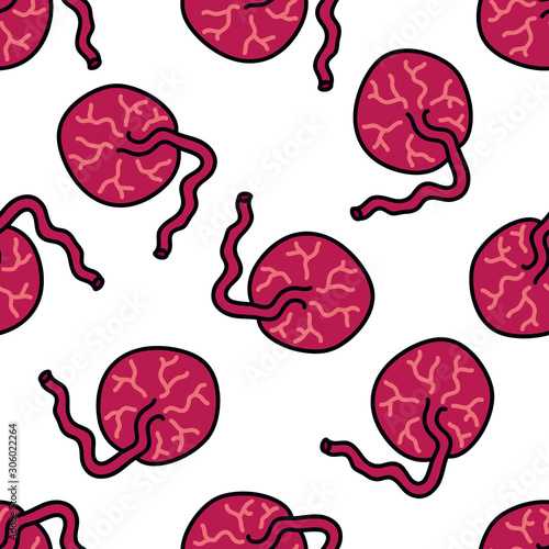placenta seamless doodle pattern, vector illustration