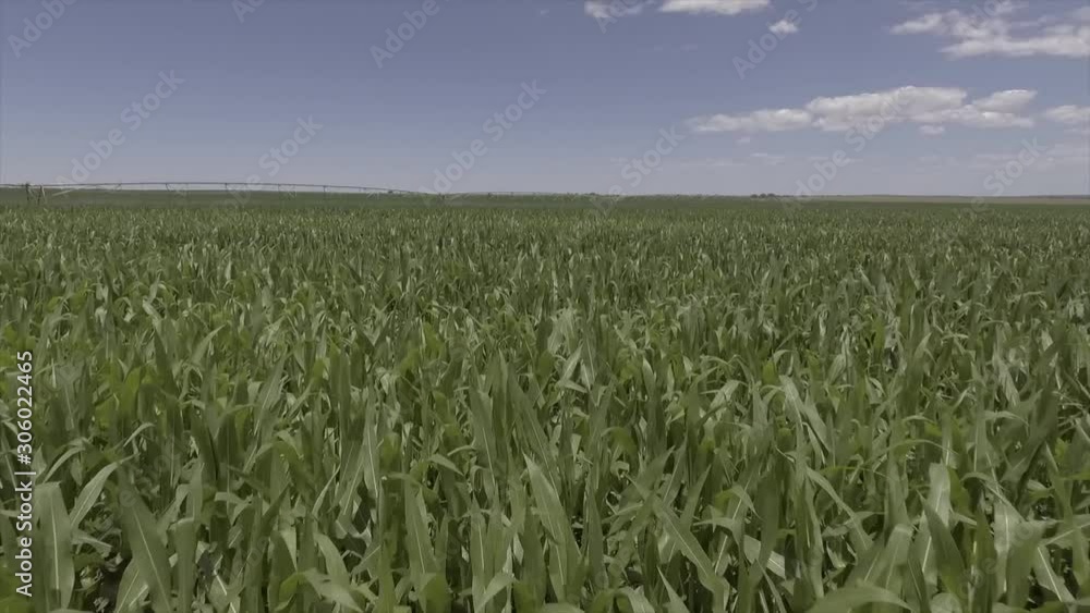  Centre Pivots- Free State2