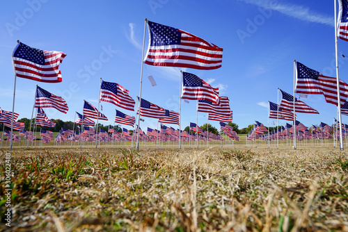 Foto Looking up in a field of flags at a park in Plano, Texas