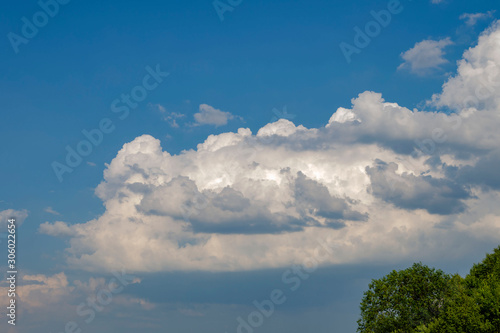 Landscape : Green tree, blue sky and big white fluffy clouds. © Oksana