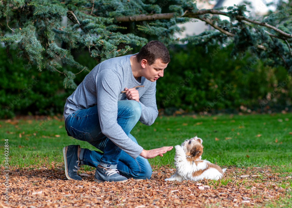 man gives commands to a dog, training a puppy outdoors man gives commands to a dog, training a puppy outdoors