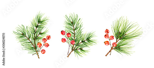 Christmas set with green pine branches and red berries isolated on white background. Watercolor illustration for celebration of New Year, greeting cards, banners, invitations, calendars.
