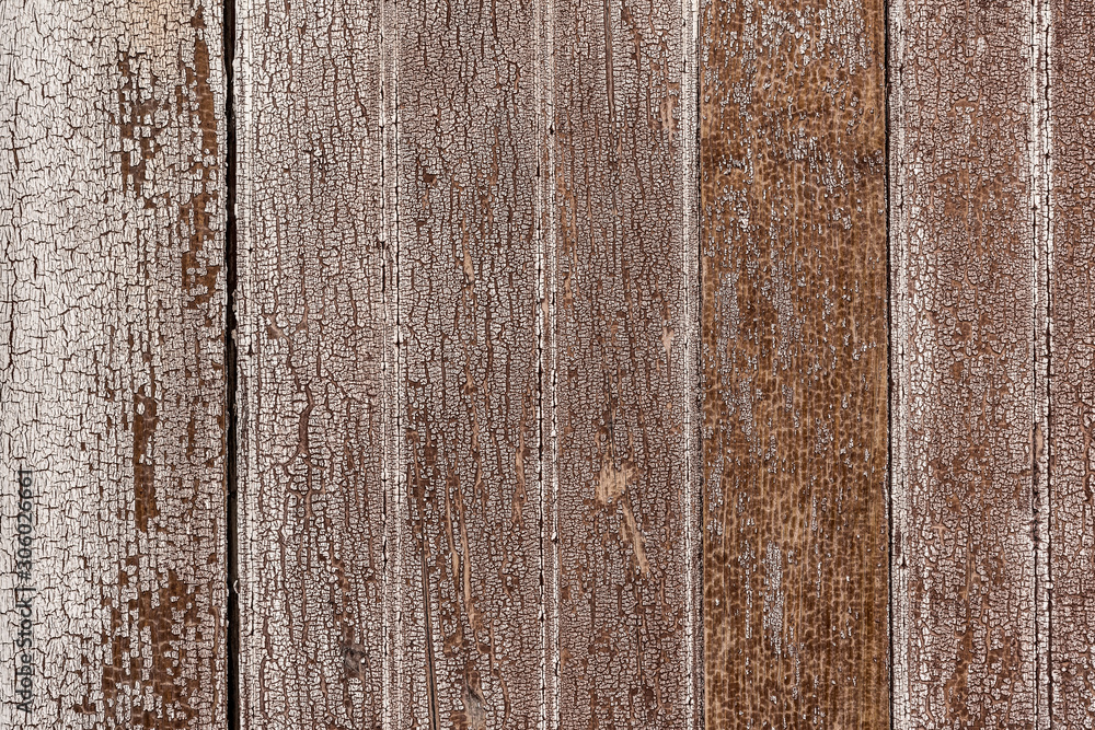 Fototapeta premium texture