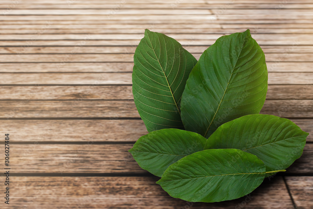 Kratom leaves, green leafy plants have benefits to help reduce fat. Kratom leaves, green leafy plants have benefits to help reduce fat.