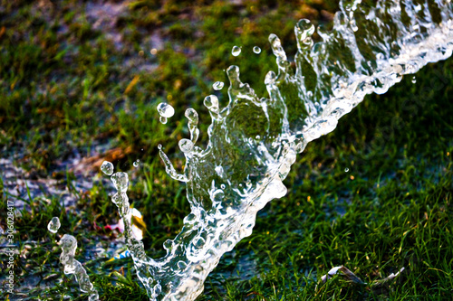 water drops of dew on grass