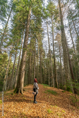 Pretty young redhead girl observing the lush trees in a forest in the Bucegi natural park in Romania, Prahova region