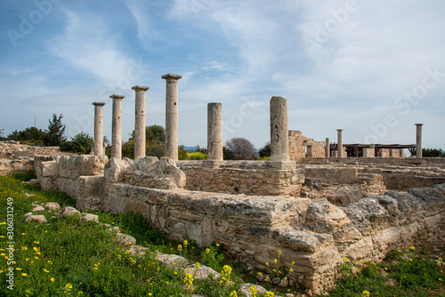 Ancient columns of Apollon Hylates, sanctuary in Limassol district, Cyprus