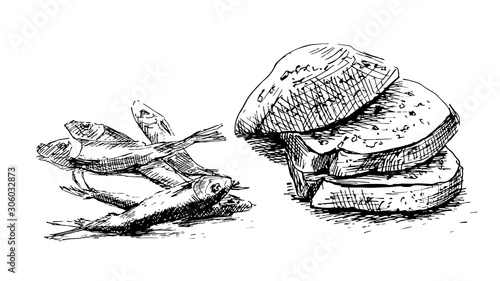 Bread and sprat fish, hand drawn. Graphics sketch photo