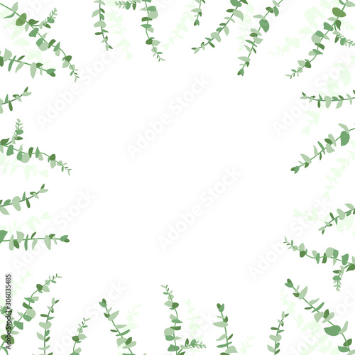 Eucalyptus leaf design background frame. Vector illustration