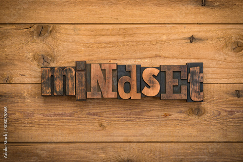 Mindset, word written with vintage letterpress printing blocks on rustic wood background